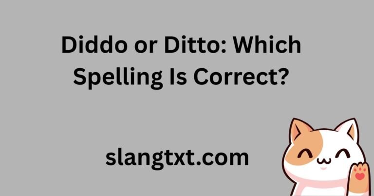 Diddo or Ditto: Which Spelling Is Correct?